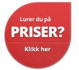 Hva koster en webløsning?